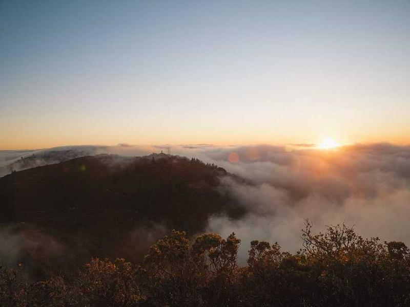 压力管理策略的深度分析与应用价值