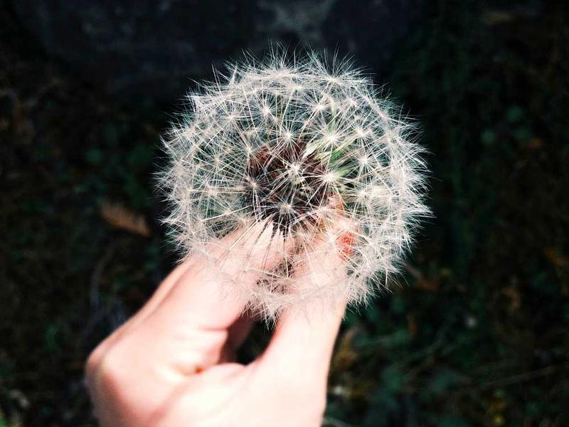 全球能源转型的深度分析与应用价值