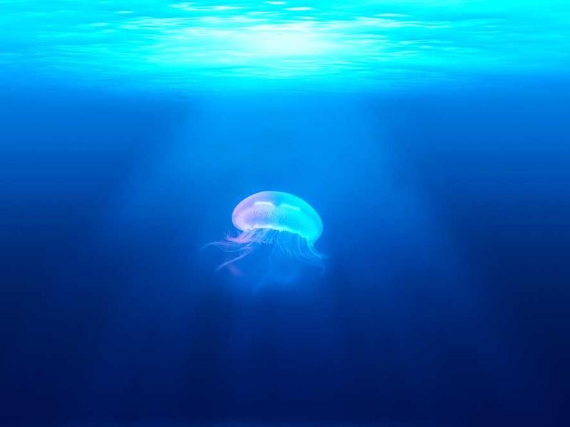 数字经济浪潮的深度分析与应用价值