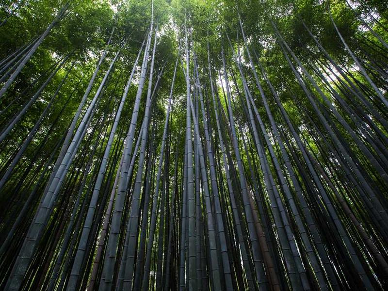 健康中国战略的深度分析与应用价值