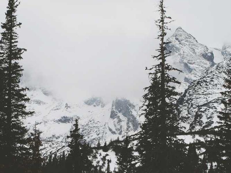 Environment guide 1750302012 1297